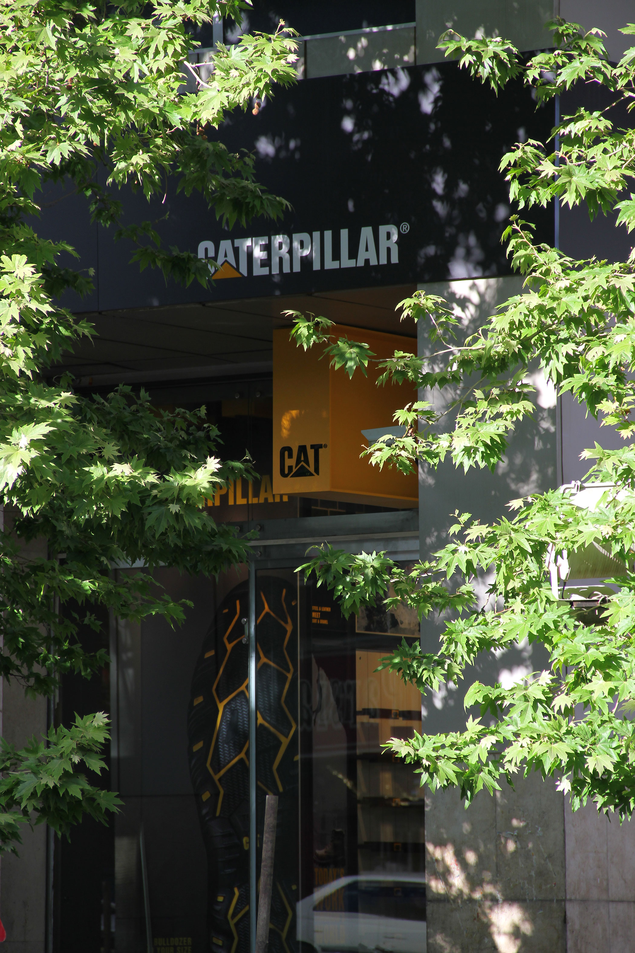 Caterpillar 2